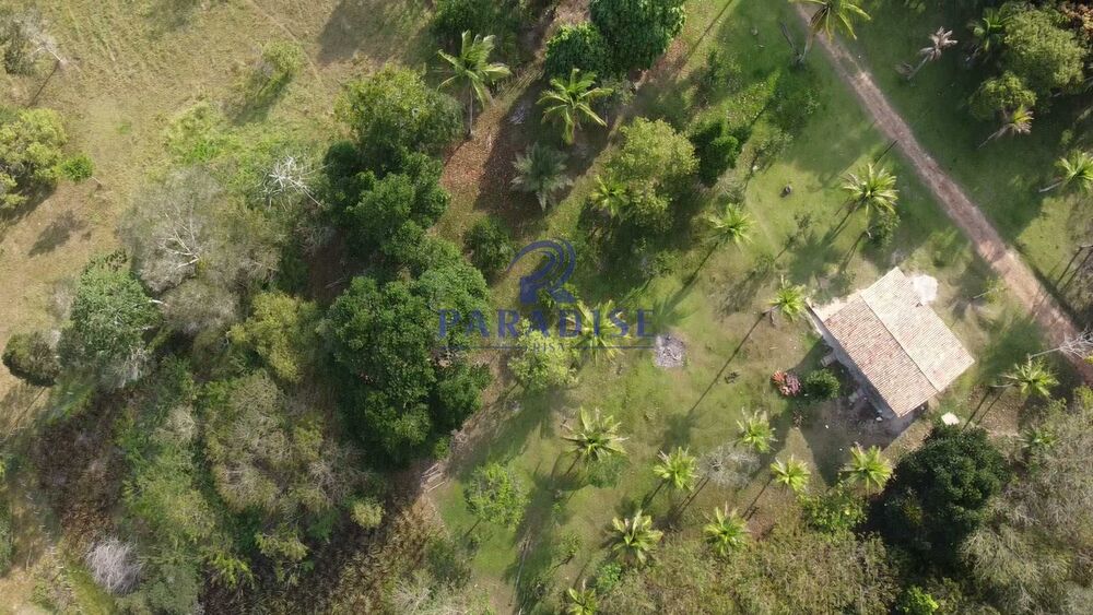 Sítio, 3 quartos, 14 hectares - Foto 9