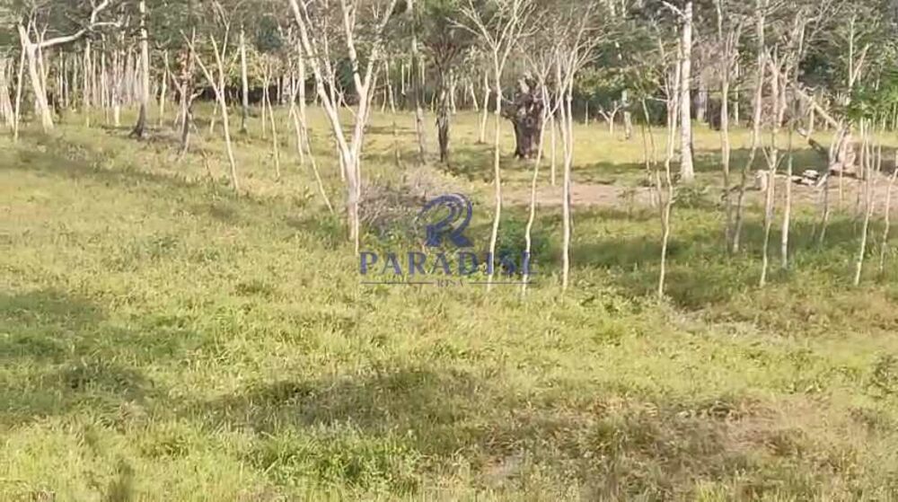 Sítio, 3 quartos, 14 hectares - Foto 23