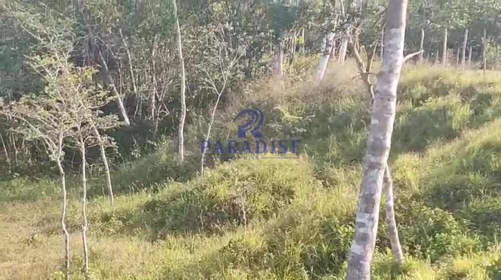 Sítio, 3 quartos, 14 hectares - Foto 25