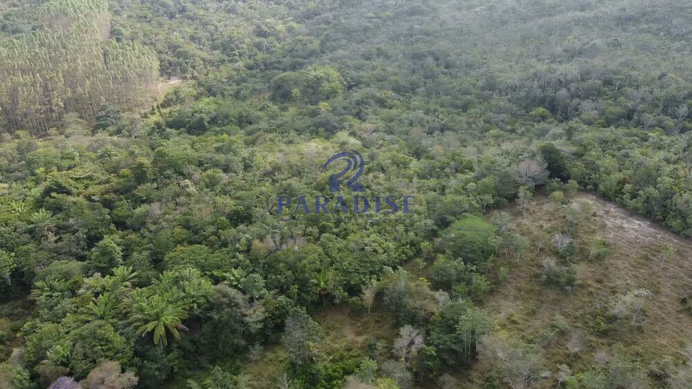 Sítio, 3 quartos, 14 hectares - Foto 19