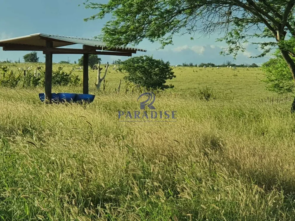 Fazenda, 393 m² - Foto 1