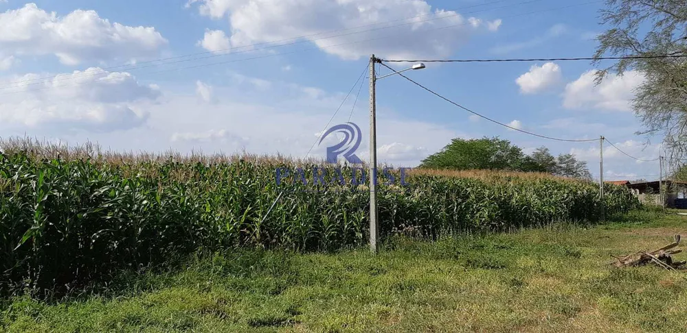 Fazenda, 393 m² - Foto 6