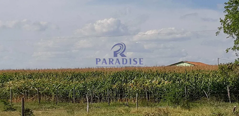 Fazenda, 393 m² - Foto 3