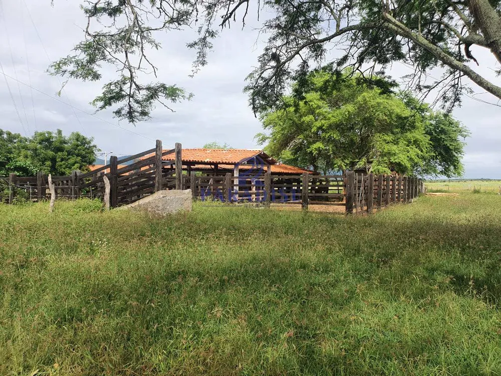 Fazenda, 393 m² - Foto 4
