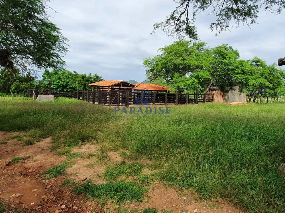 Fazenda, 393 m² - Foto 1