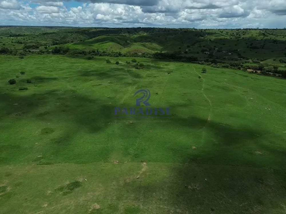 Fazenda, 958 m² - Foto 6