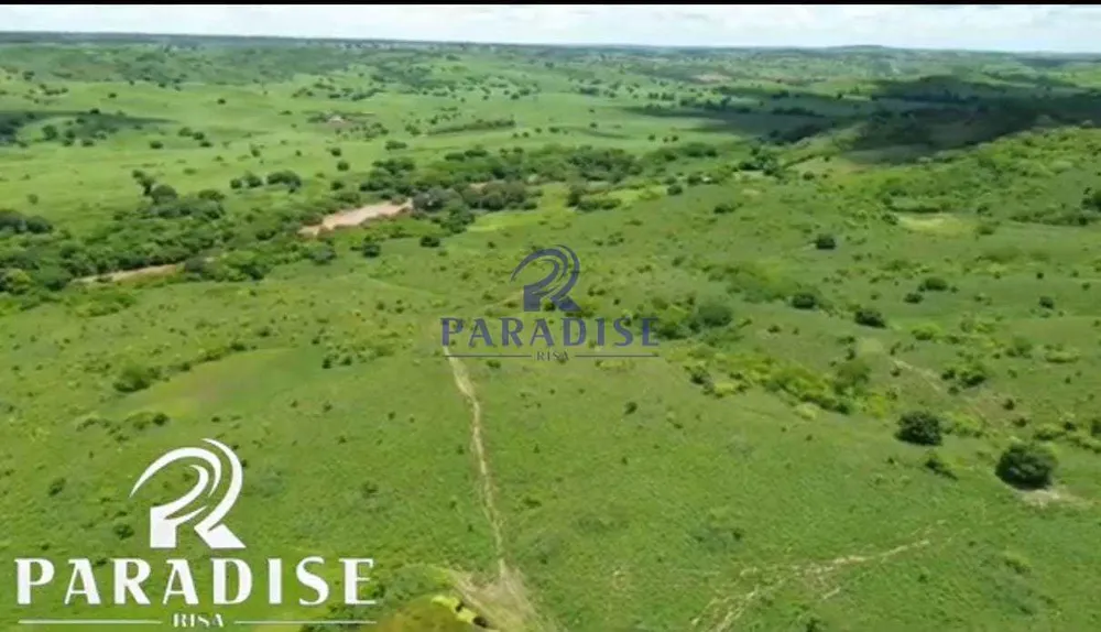 Fazenda, 958 m² - Foto 8