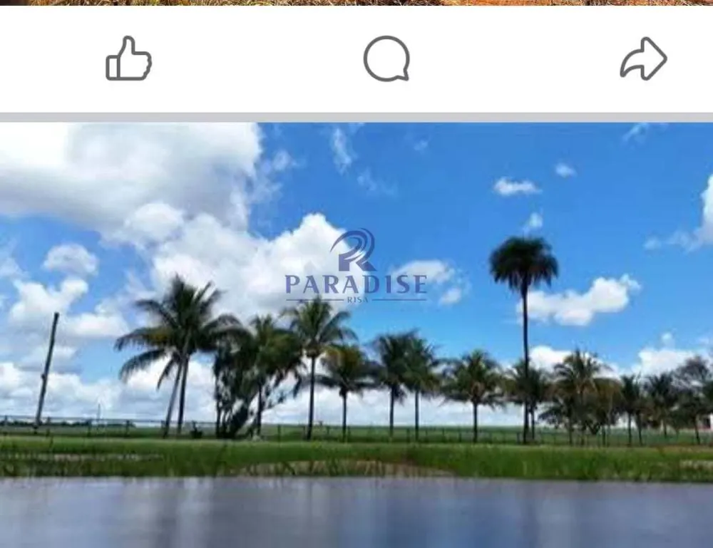 Fazenda, 4003 m² - Foto 4