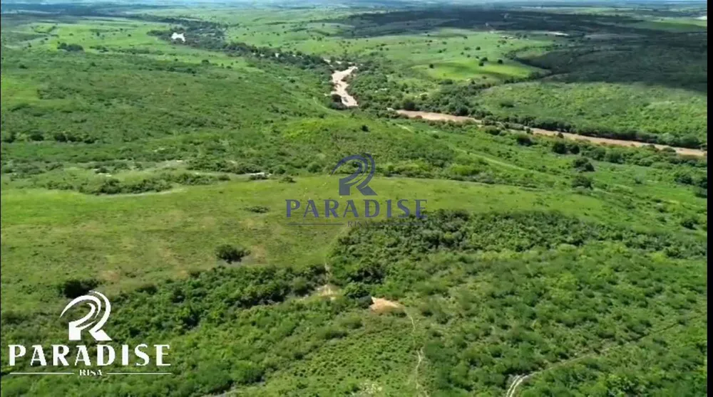 Fazenda, 1916 m² - Foto 5