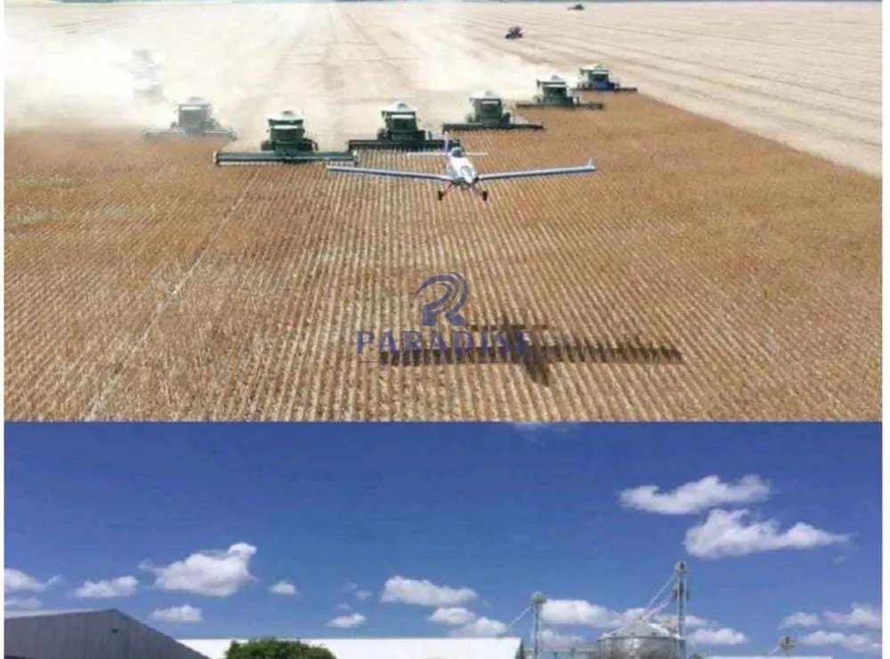 Fazenda, 4 hectares - Foto 2