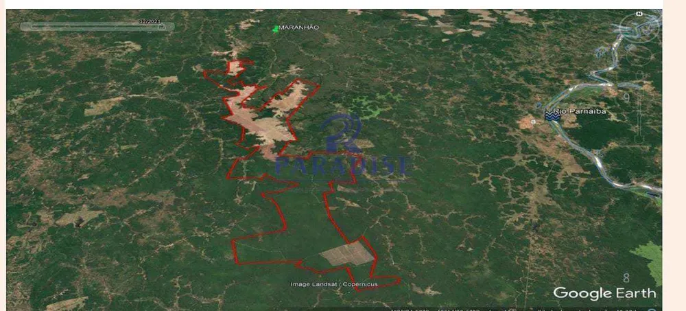Fazenda, 4 hectares - Foto 6