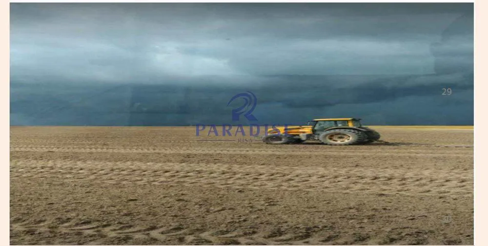 Fazenda, 4 hectares - Foto 11