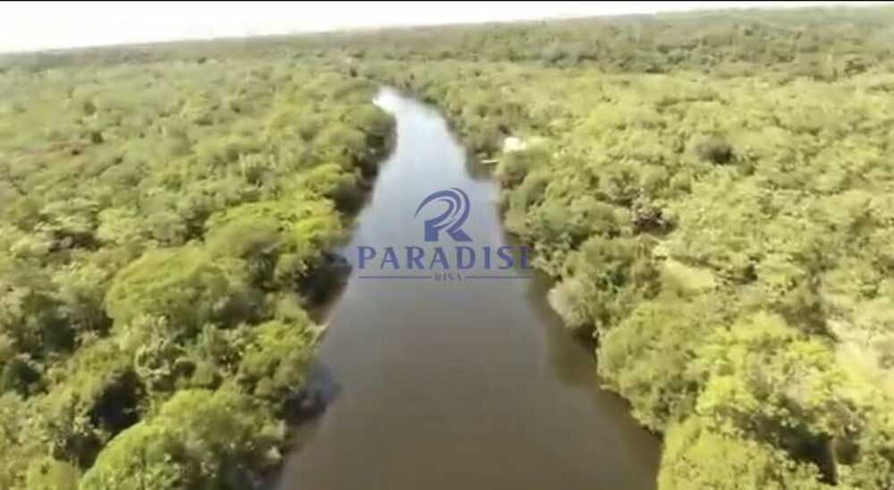 Fazenda, 1500 hectares - Foto 4