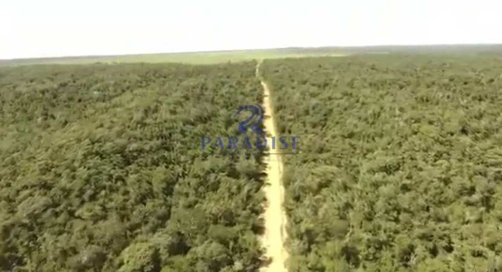 Fazenda, 1500 hectares - Foto 3