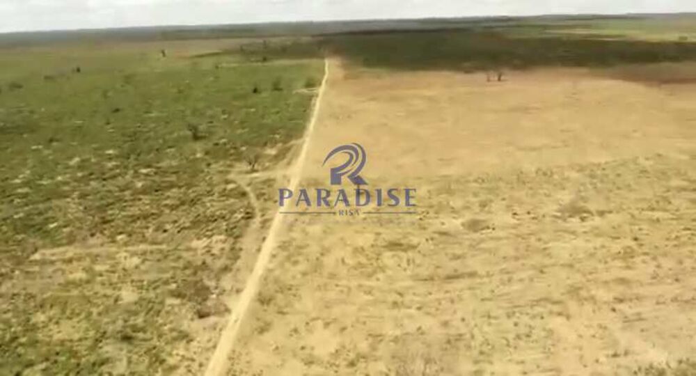 Fazenda, 1500 hectares - Foto 7
