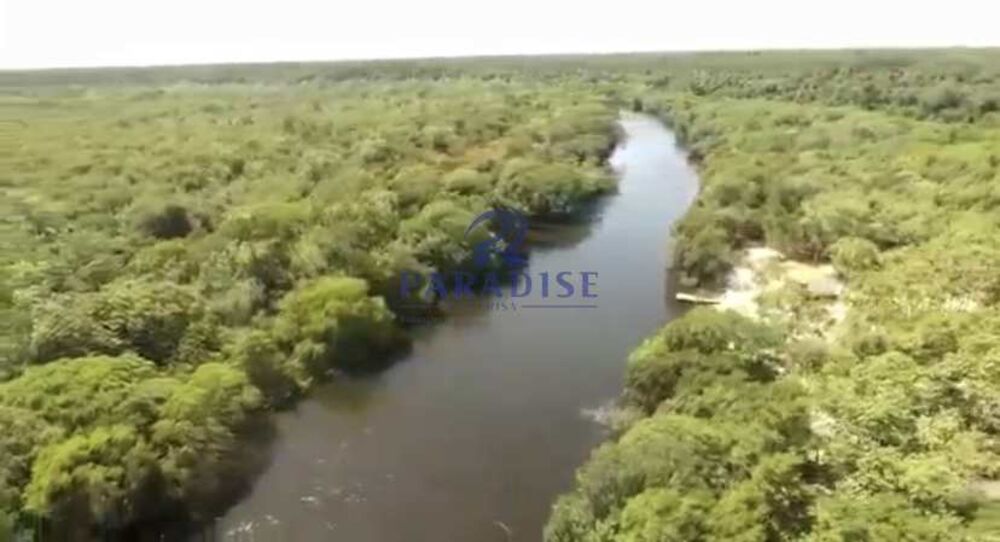 Fazenda, 1500 hectares - Foto 2