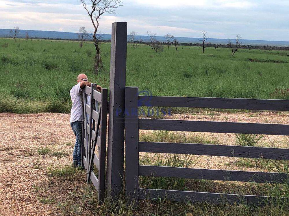 Fazenda, 1500 hectares - Foto 8