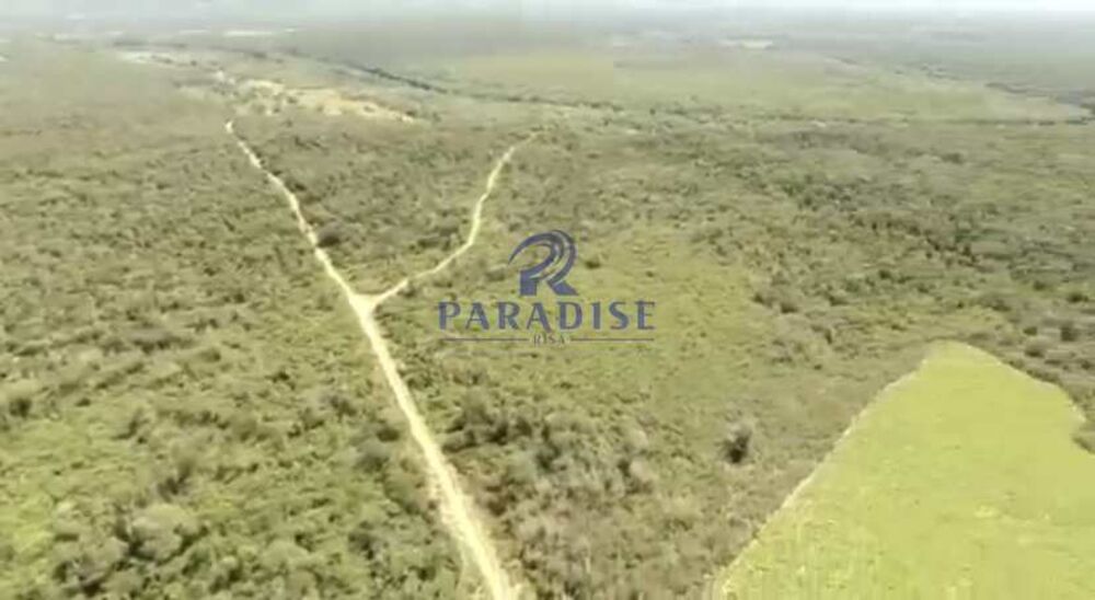 Fazenda, 1500 hectares - Foto 6