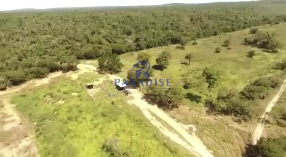 Fazenda, 1500 hectares - Foto 1