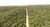 Fazenda, 1500 hectares - Foto 3