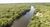 Fazenda, 1500 hectares - Foto 2