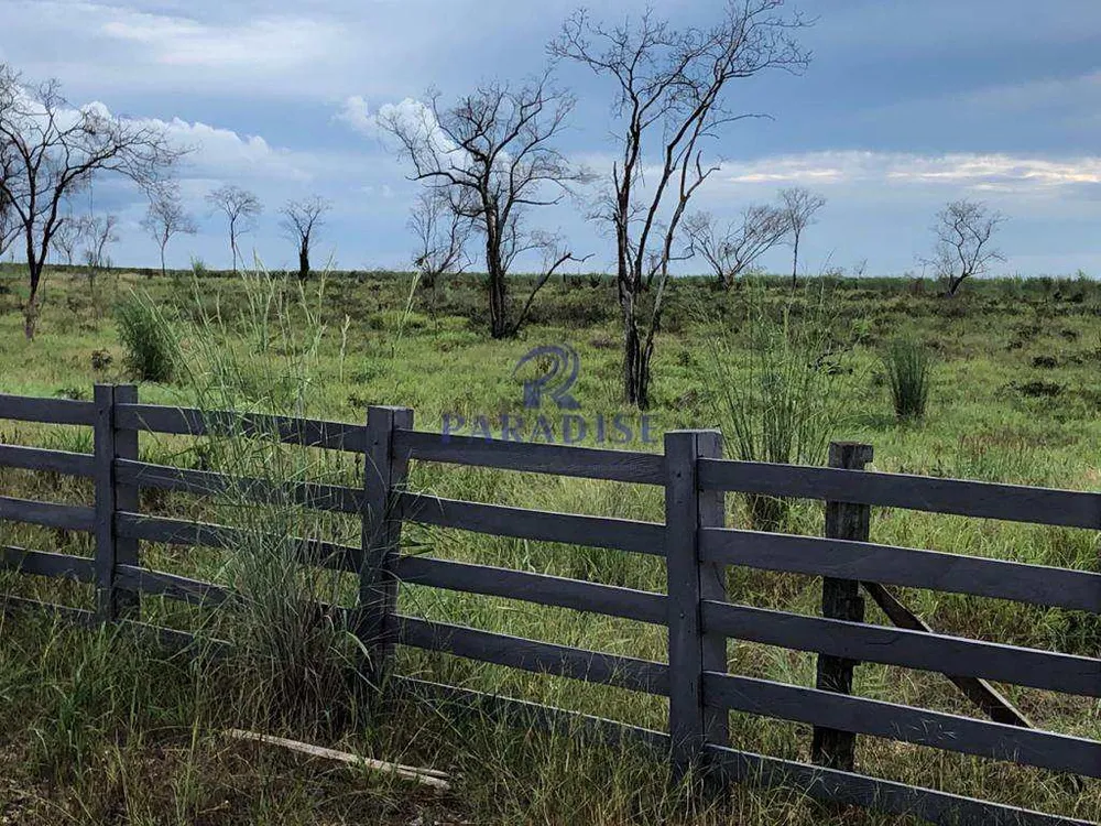 Fazenda, 1500 hectares - Foto 14