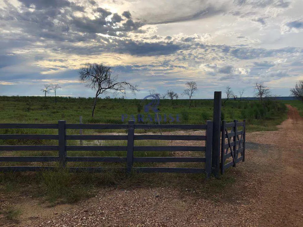 Fazenda, 1500 hectares - Foto 13