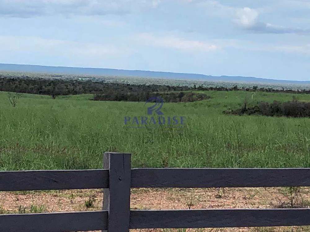 Fazenda, 1500 hectares - Foto 15