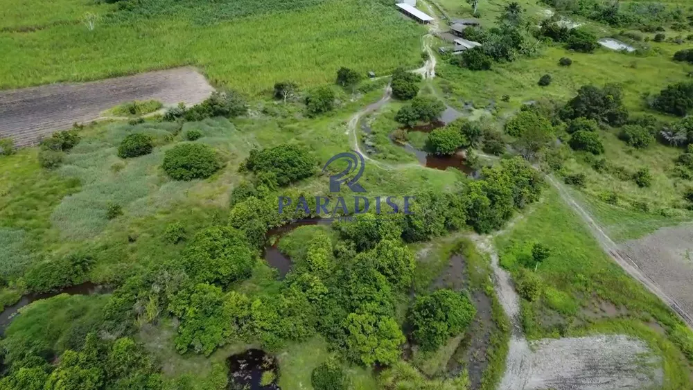 Fazenda à venda, 1960000m² - Foto 10