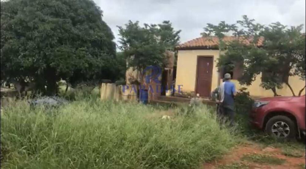 Fazenda, 436 hectares - Foto 7