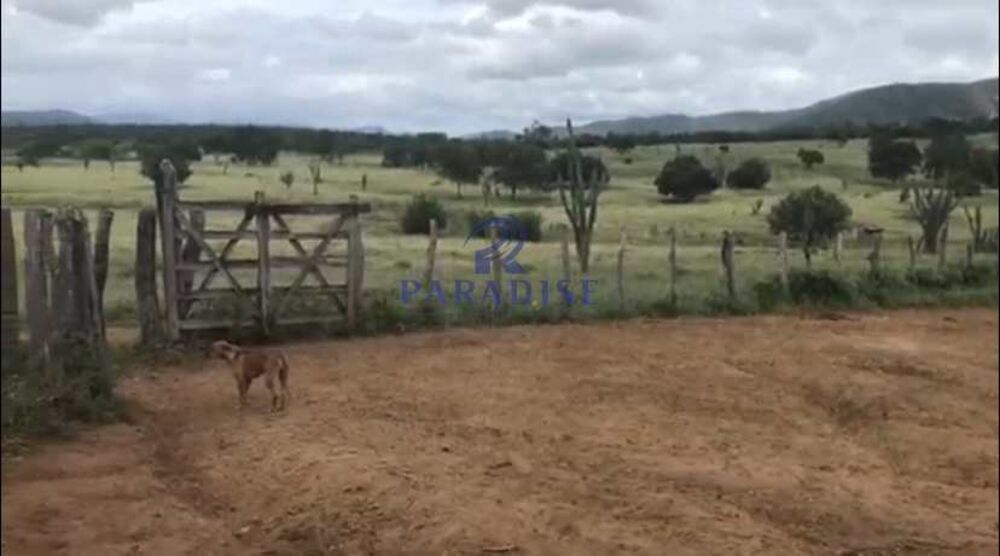 Fazenda, 436 hectares - Foto 1