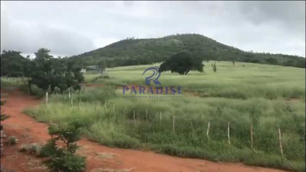 Fazenda, 436 hectares - Foto 12