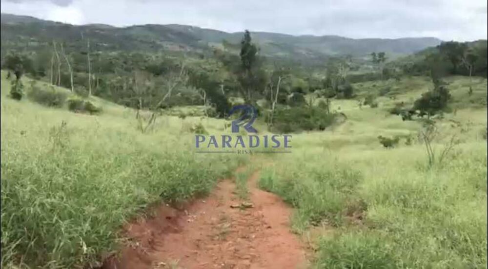 Fazenda, 436 hectares - Foto 11