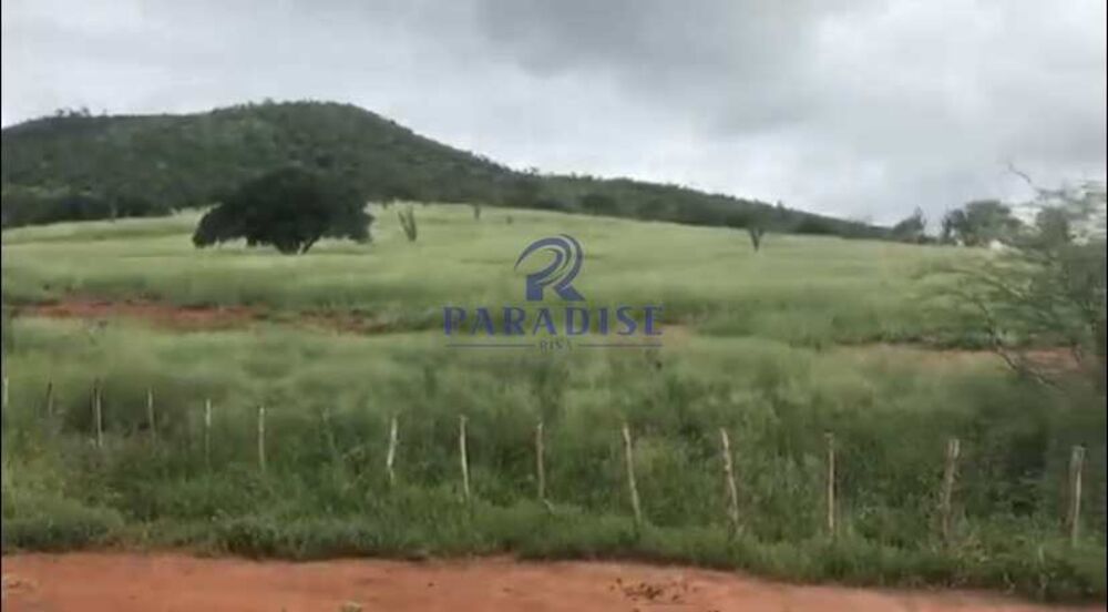 Fazenda, 436 hectares - Foto 13