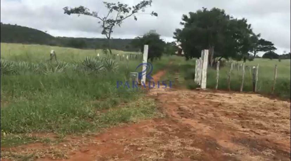 Fazenda, 436 hectares - Foto 3