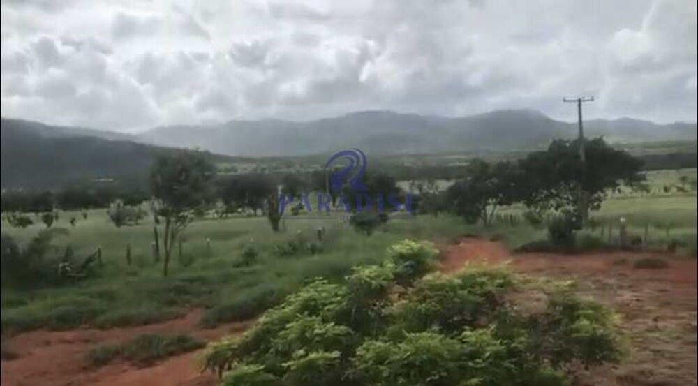 Fazenda, 436 hectares - Foto 15