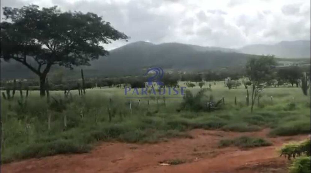Fazenda, 436 hectares - Foto 14