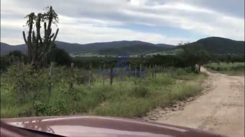 Fazenda, 436 hectares - Foto 6