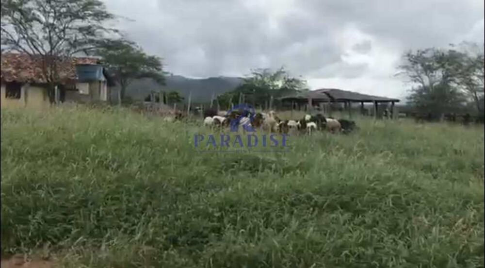 Fazenda, 436 hectares - Foto 10