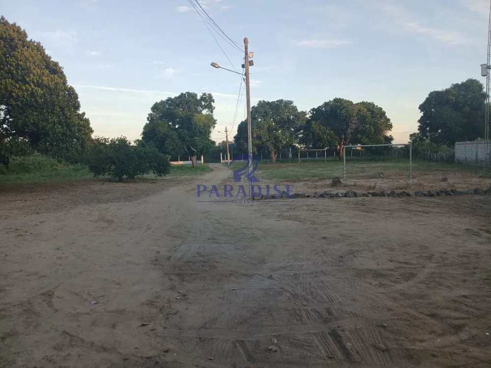 Sítio, 3 quartos, 7689 m² - Foto 4