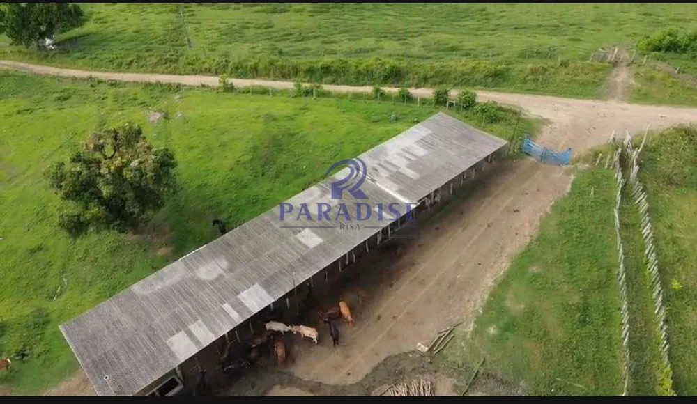 Fazenda, 440 m² - Foto 4