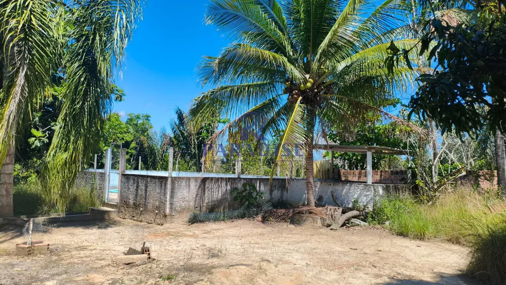 Chácara, 1 hectares - Foto 7