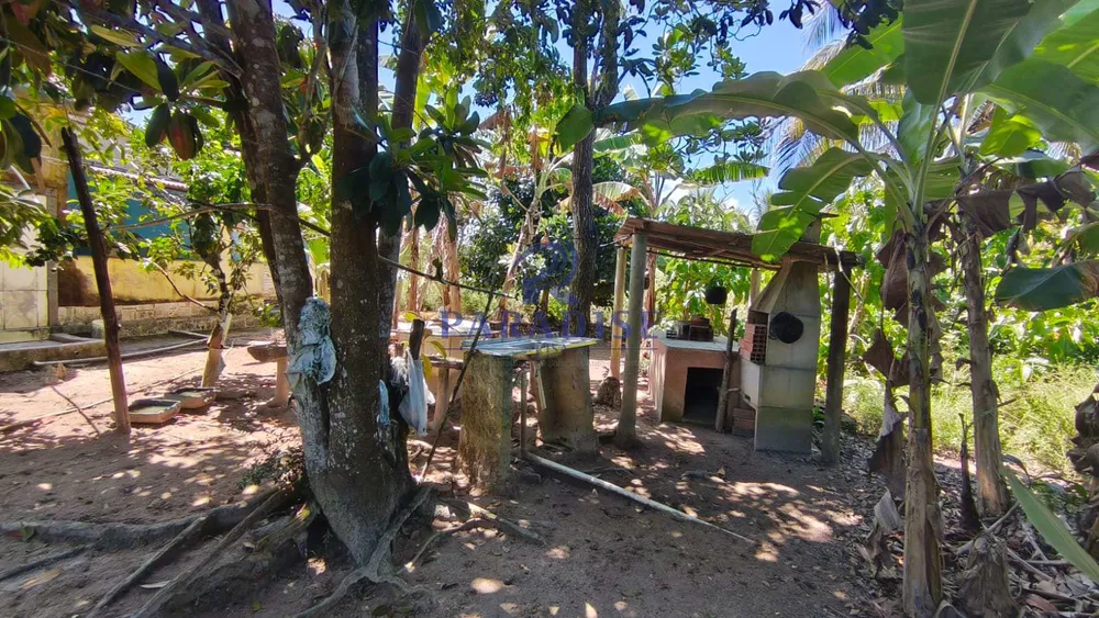 Chácara, 1 hectares - Foto 6