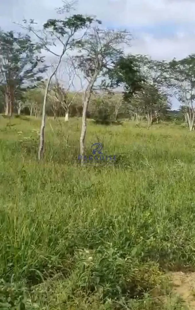 Fazenda, 2978 m² - Foto 5