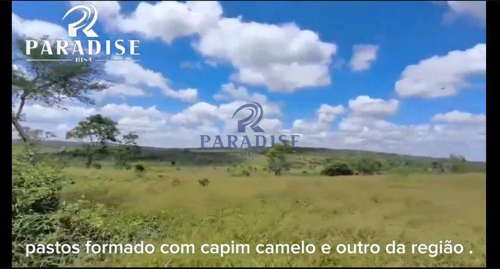 Fazenda, 2978 m² - Foto 7