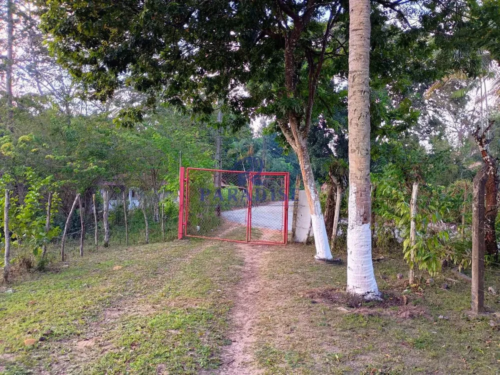 Sítio, 14 hectares - Foto 4