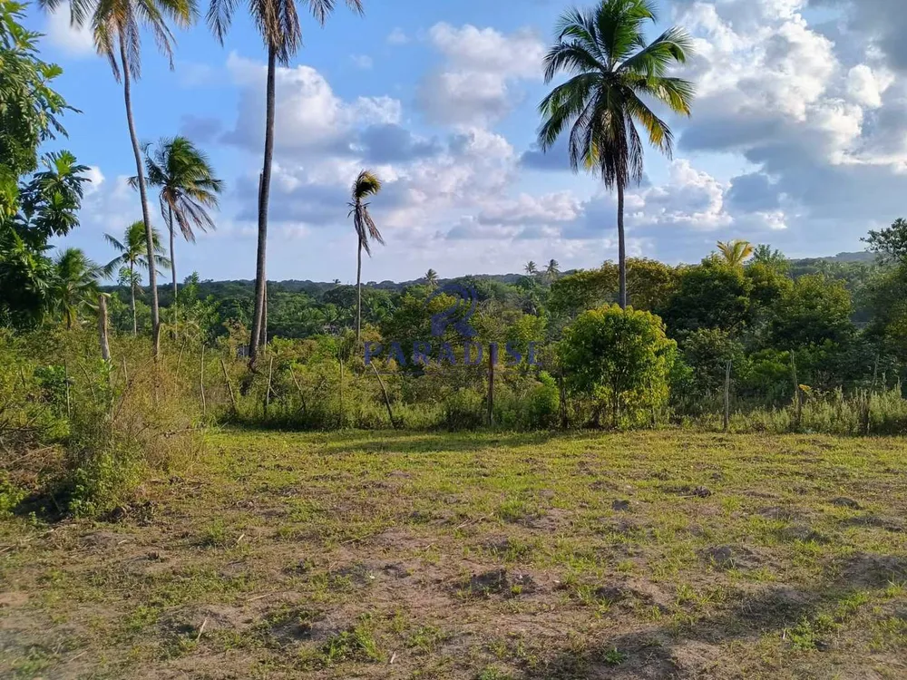 Sítio, 14 hectares - Foto 12