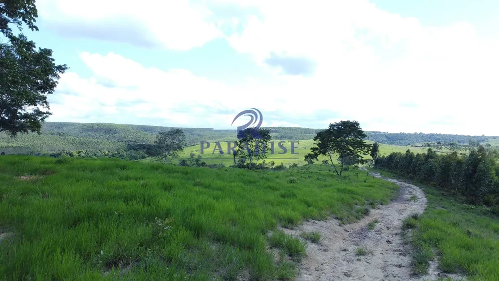 Fazenda, 975 hectares - Foto 6