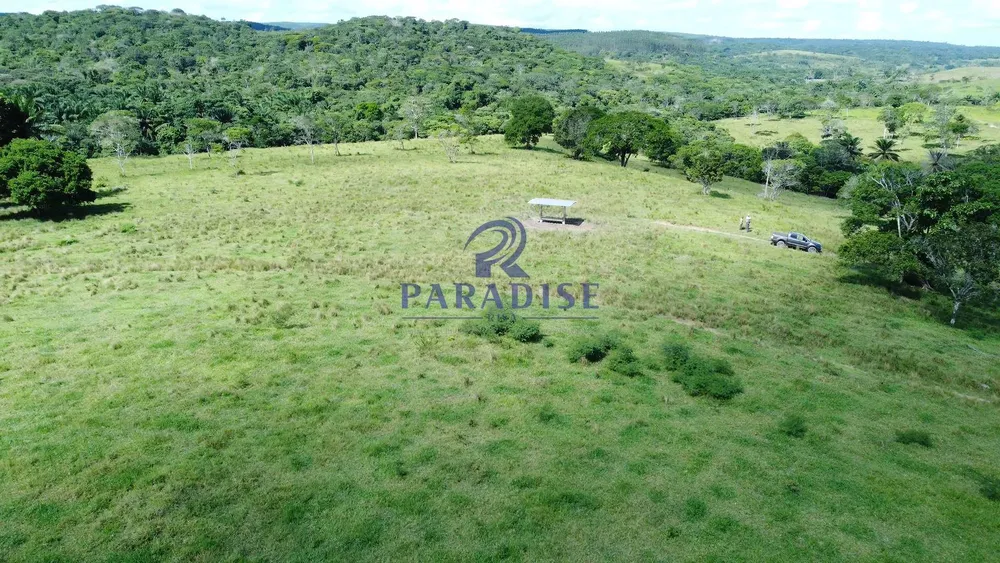 Fazenda, 975 hectares - Foto 2