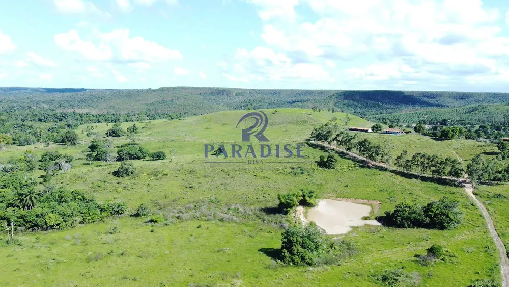 Fazenda, 975 hectares - Foto 7
